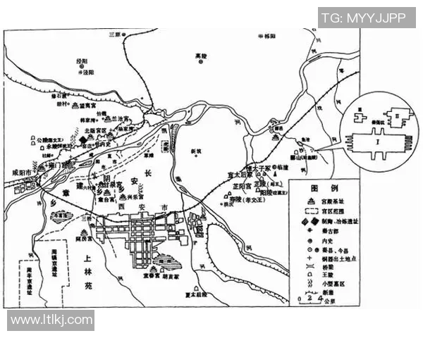 西安排球队的战术布局与决赛表现深度分析